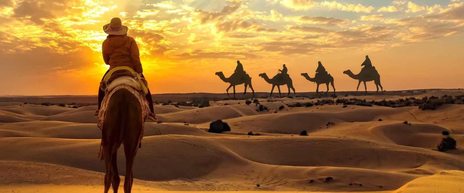 The Desert