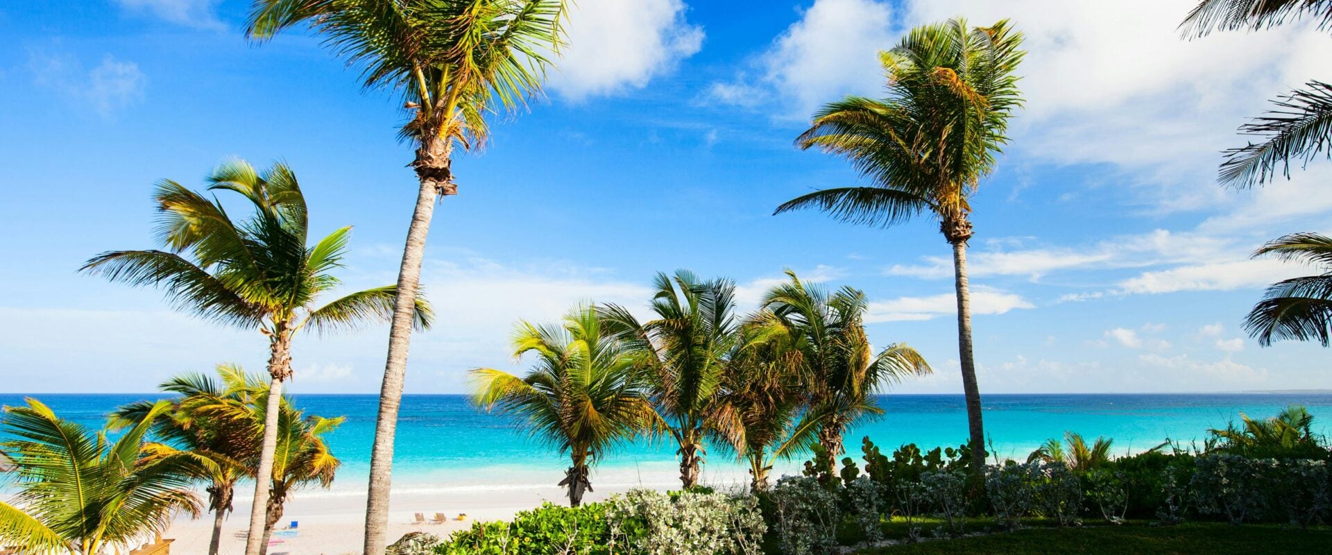 Yacht Charter in The Bahamas: Tropical Elegance on the Water