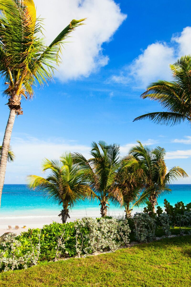 Bahamas Yacht Charter with Althaus Yachts