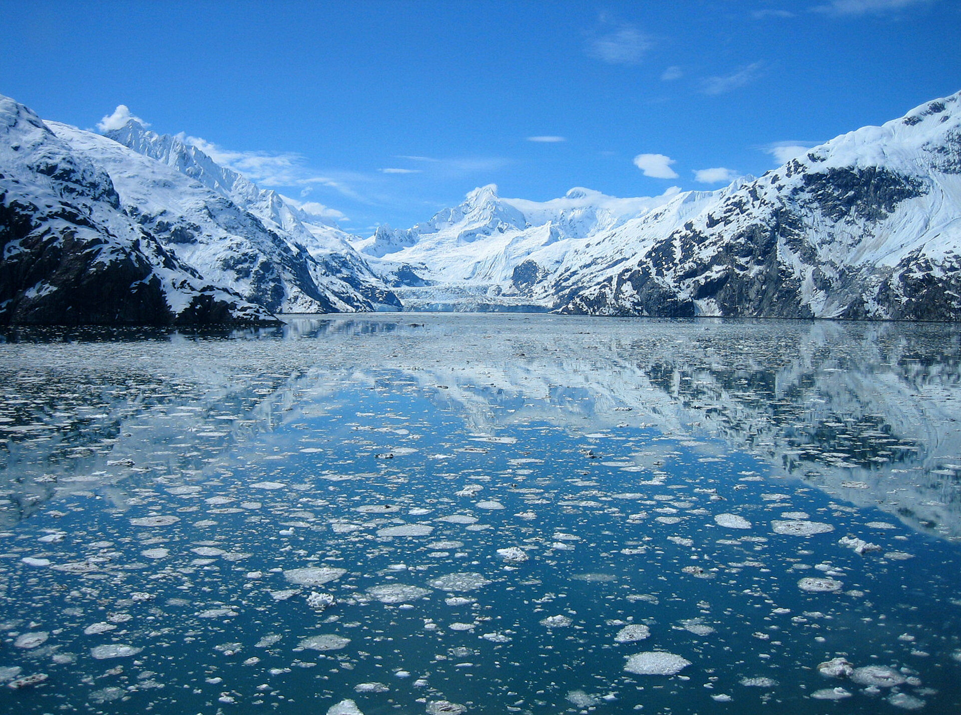 Glacier Bay Alaska Charter Destination – Explore Fjords and Ice Fields
