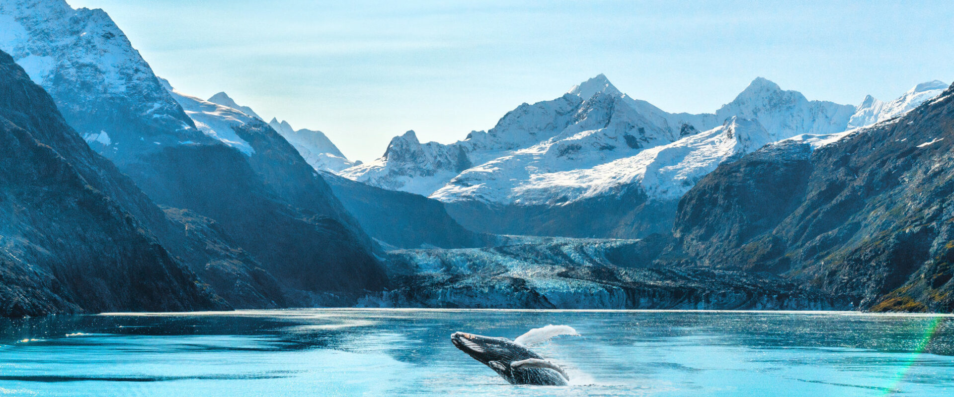 Yacht Charter in Alaska Through Untouched Wilderness