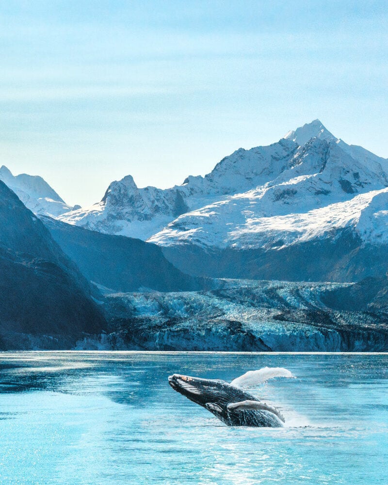 Alaska Yacht Charter with Althaus Yachts