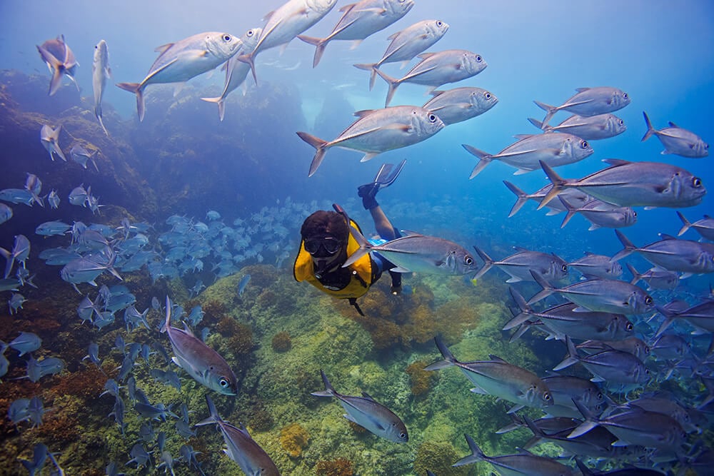 Snorkeling from yacht at Isla del Caño Costa Rica during charter
